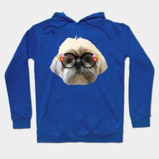 Shitzhu Dog 4 Hoodie